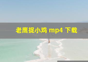 老鹰捉小鸡 mp4 下载